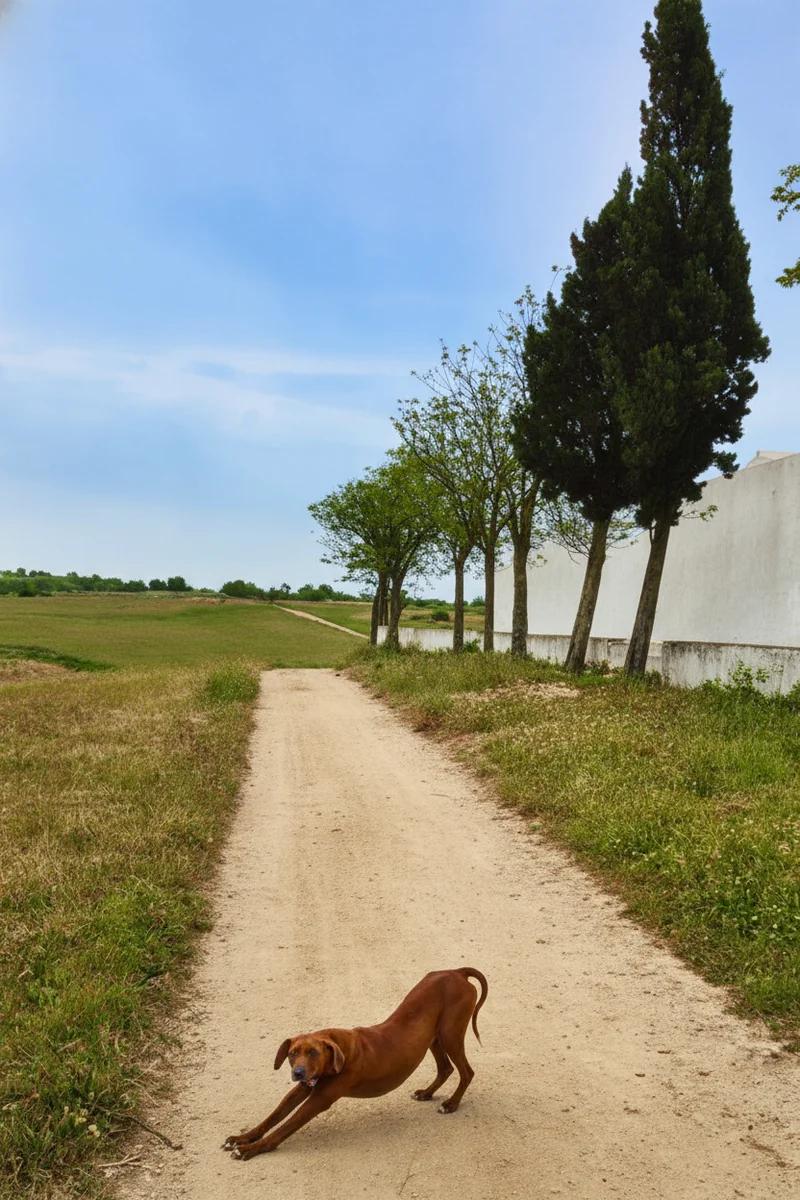 photo-restore example - others