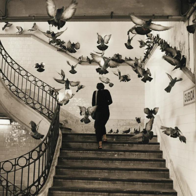 photo-restore example - others